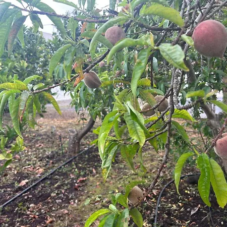 Appartamento Casa Lucia Genovés